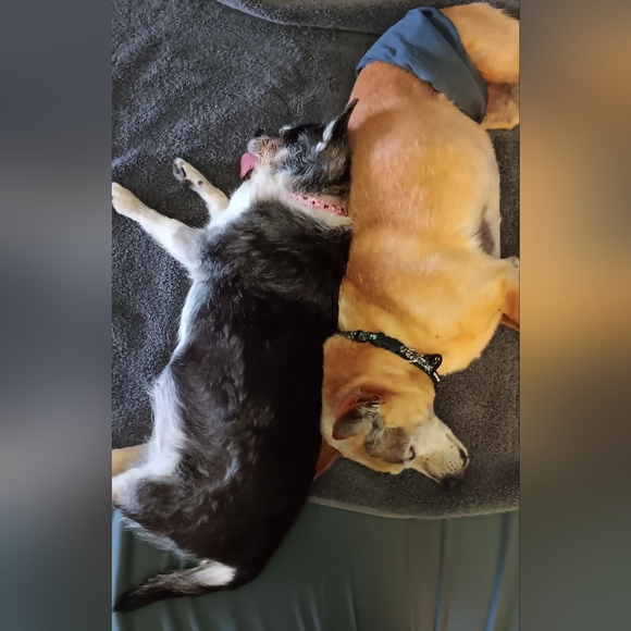 Meet your Posher, Tascha - Picture 13 of 17